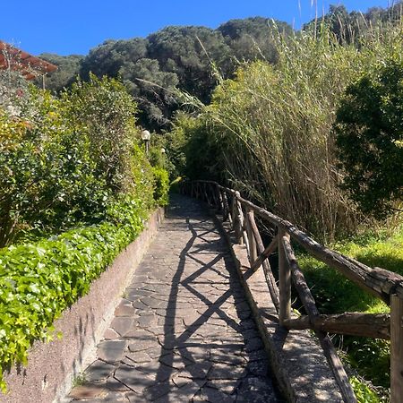 La Casina Di Checco Διαμέρισμα Marciana Marina  Εξωτερικό φωτογραφία