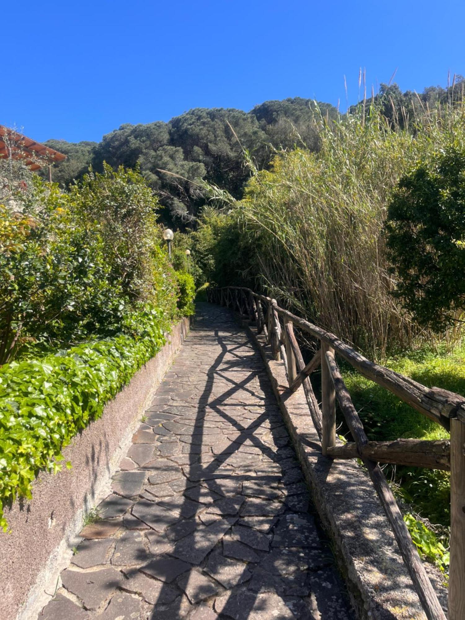 La Casina Di Checco Διαμέρισμα Marciana Marina  Εξωτερικό φωτογραφία
